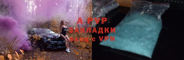 прущие грибы Бугульма