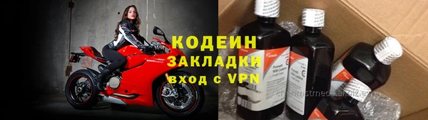прущие грибы Бугульма
