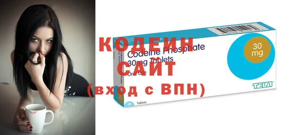 соль ск Инсар
