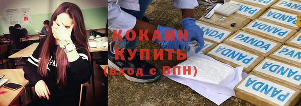 гидра Верхний Тагил