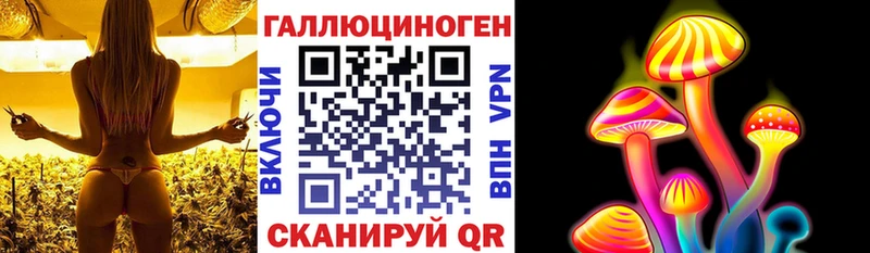 Псилоцибиновые грибы Magic Shrooms  наркошоп  Камешково 